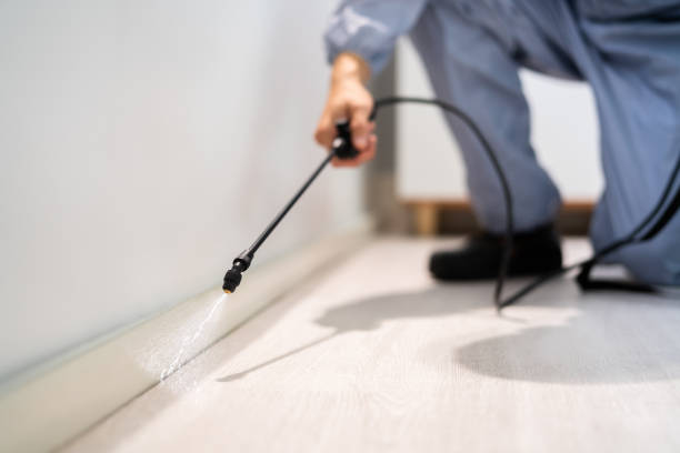 Licensed Rodent Control service in Cherokee County County, NC - Nex Pest Control