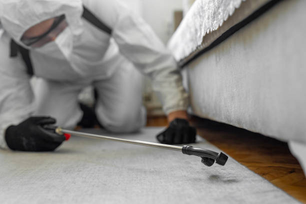Professional Rodent Control technician working in Cherokee County County, NC